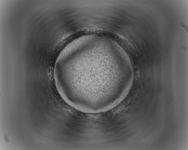 X0000097870870200804041548