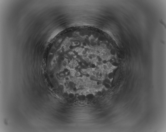 X0000097870871200804041548