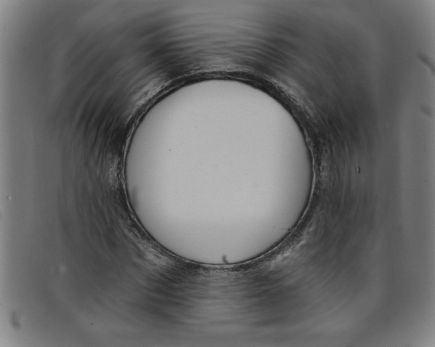 X0000097870873200804041548