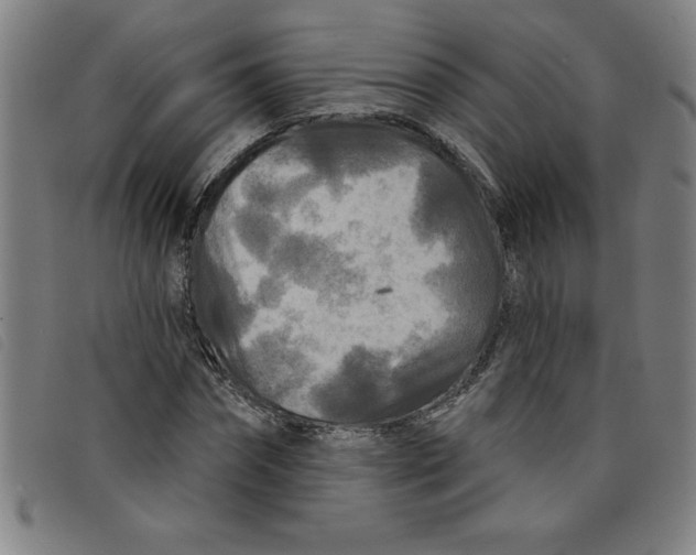 X0000097870874200804041548