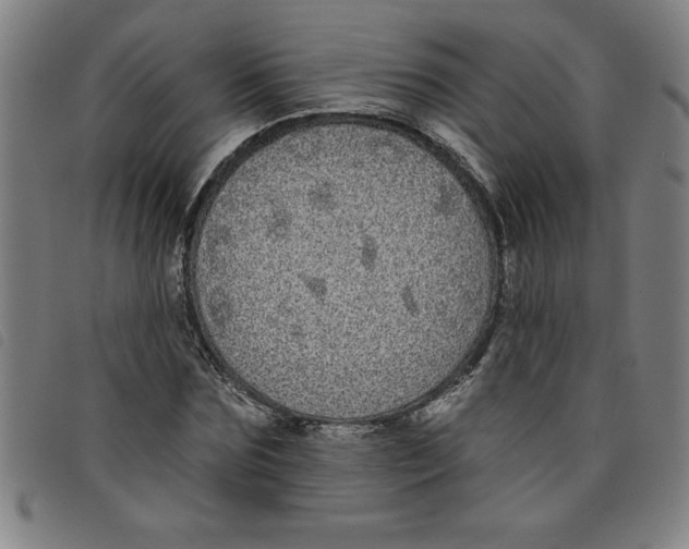 X0000097870875200804041548