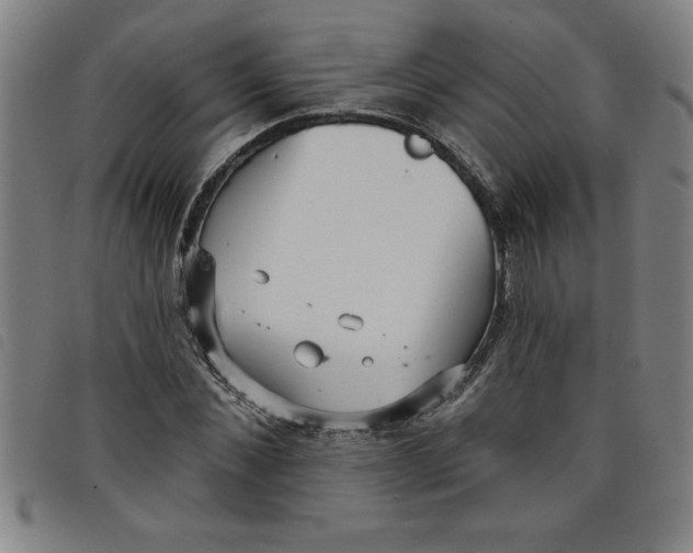 X0000097870876200804041548