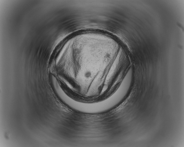 X0000097870879200804041548