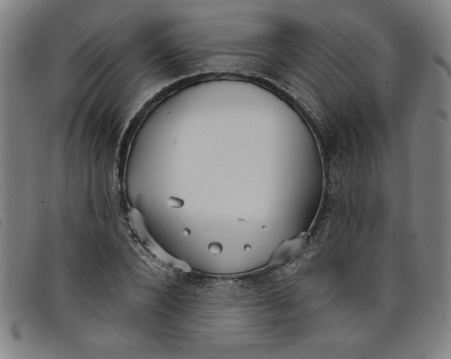 X0000097870880200804041548