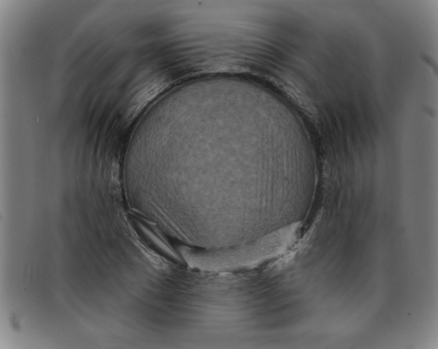 X0000097870881200804041548