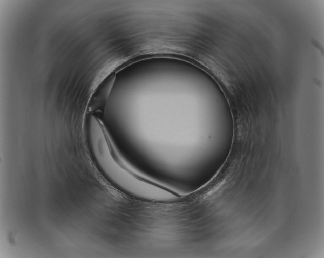 X0000097870885200804041548