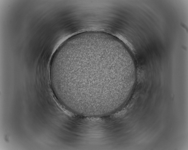 X0000097870886200804041548