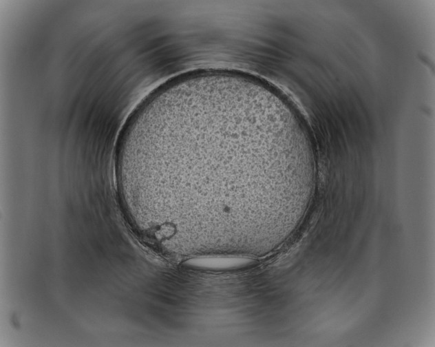 X0000097870887200804041548