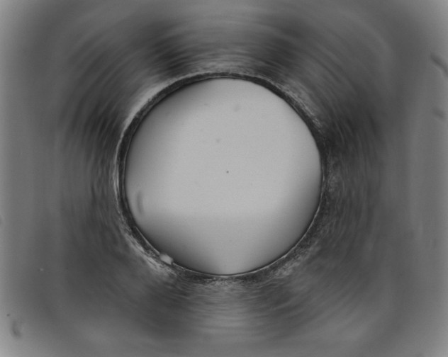 X0000097870888200804041548