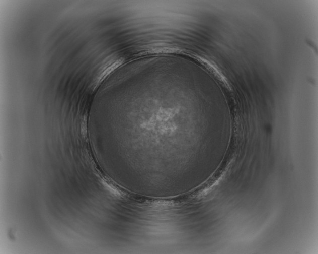 X0000097870889200804041548