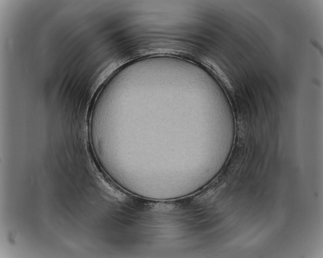 X0000097870890200804041548