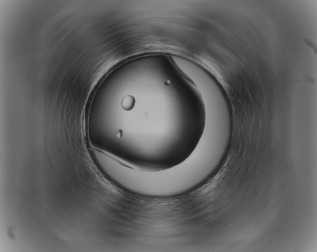 X0000097870891200804041548