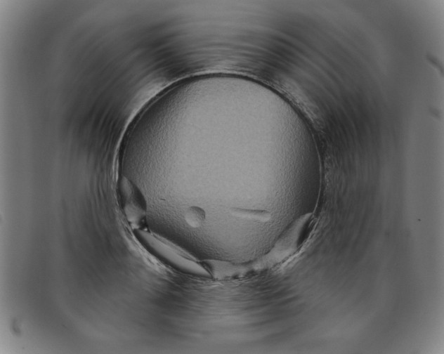 X0000097870892200804041548