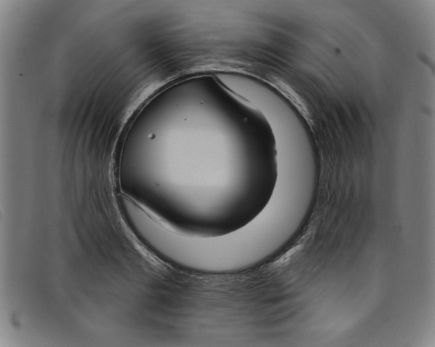 X0000097870893200804041548