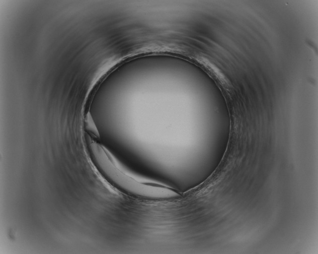 X0000097870894200804041548