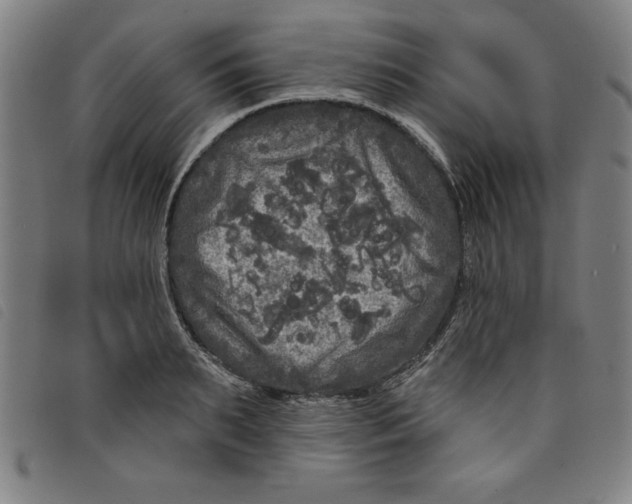 X0000097870895200804041548