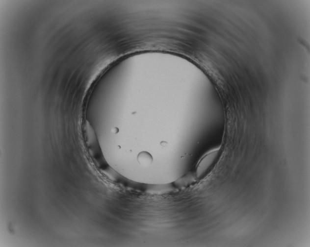 X0000097870896200804041548
