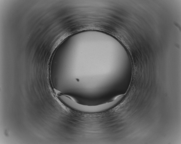 X0000097870898200804041548