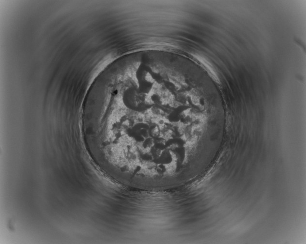 X0000097870899200804041548