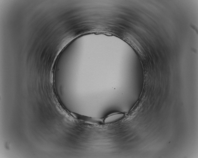 X0000097870900200804041548