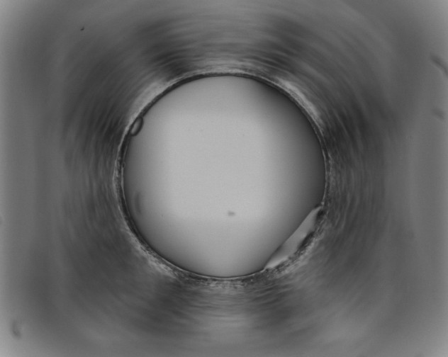 X0000097870901200804041548