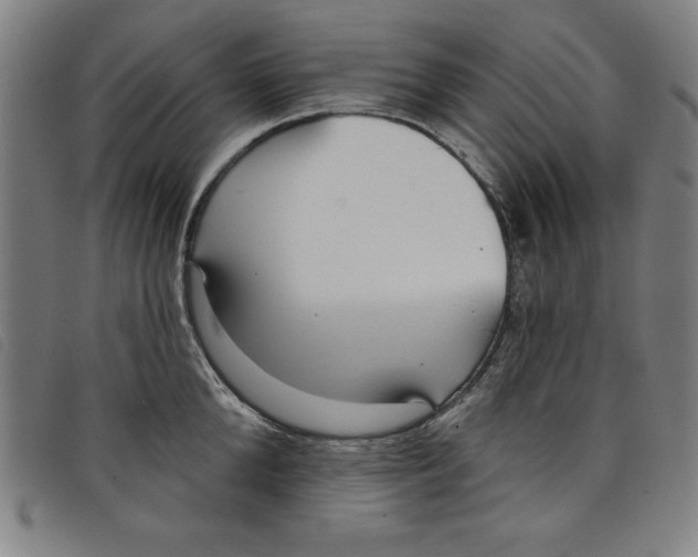 X0000097870904200804041548