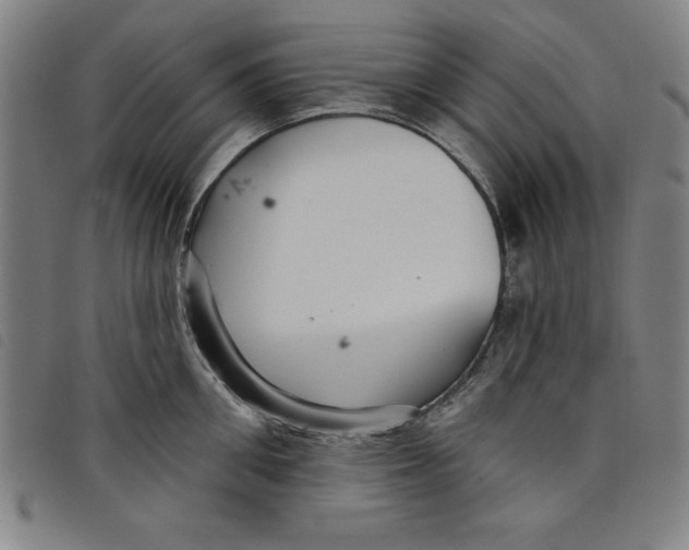 X0000097870906200804041548