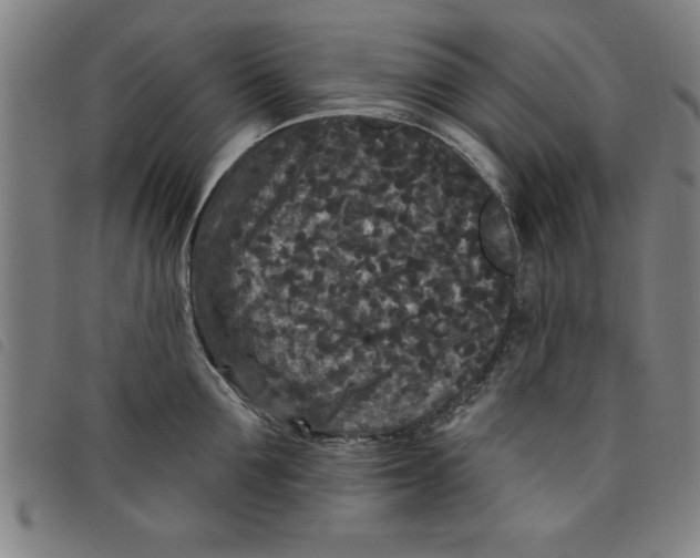 X0000097870907200804041548