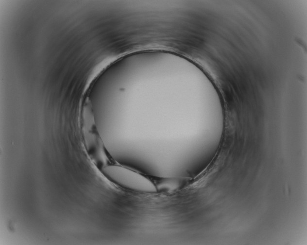 X0000097870910200804041548