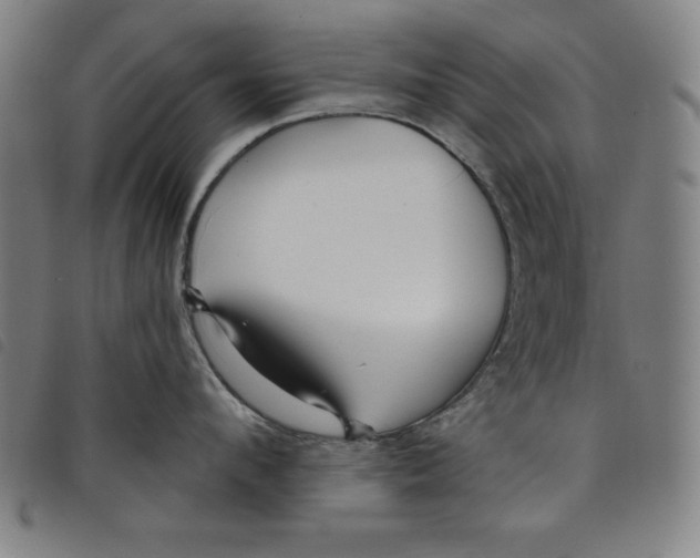 X0000097870912200804041548