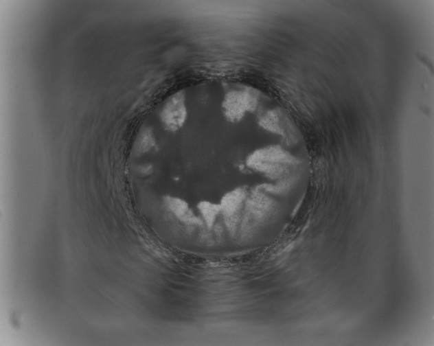 X0000097870913200804041547