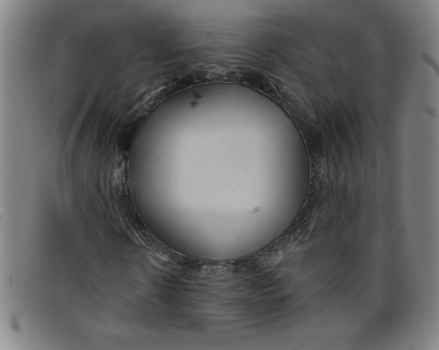X0000097870914200804041547