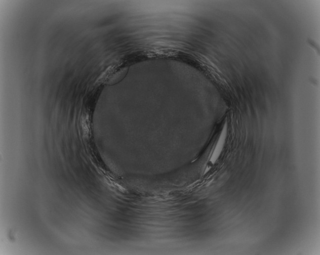 X0000097870915200804041547