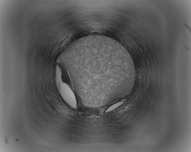 X0000097870916200804041547