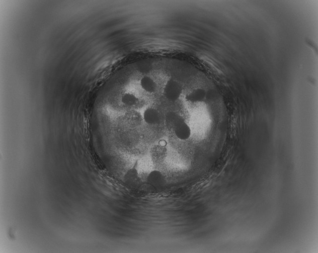 X0000097870917200804041547