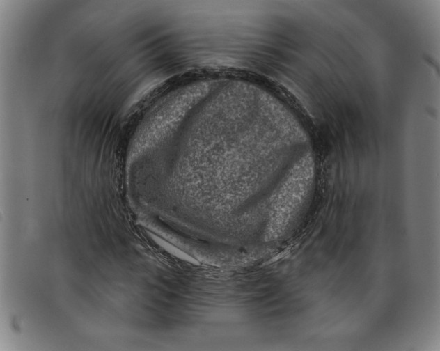 X0000097870919200804041547