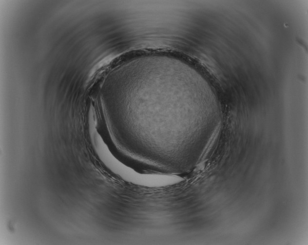 X0000097870920200804041547