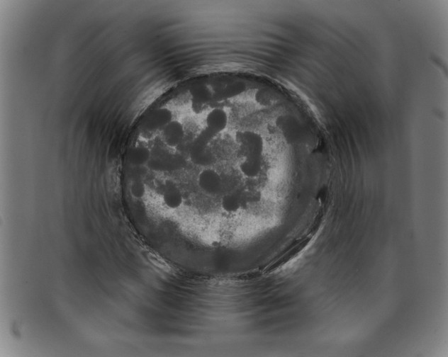 X0000097870921200804041547