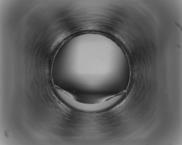 X0000097870922200804041547