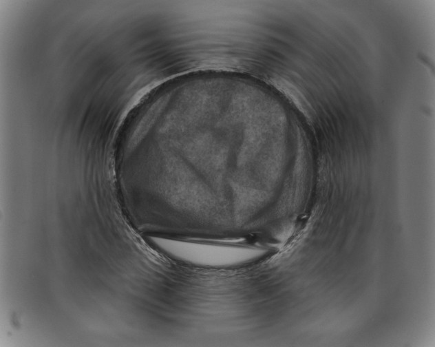 X0000097870923200804041547