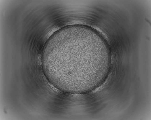 X0000097870929200804041547