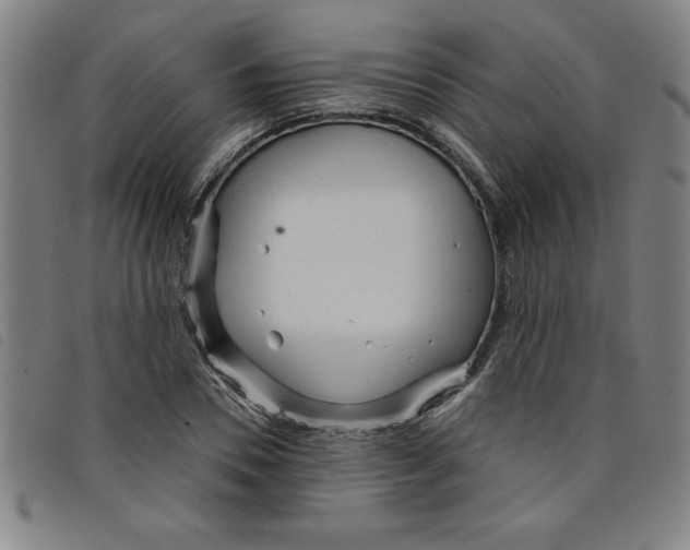 X0000097870930200804041547