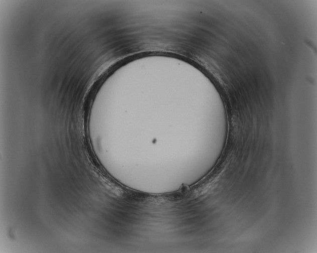 X0000097870931200804041547