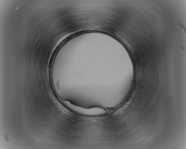 X0000097870932200804041547