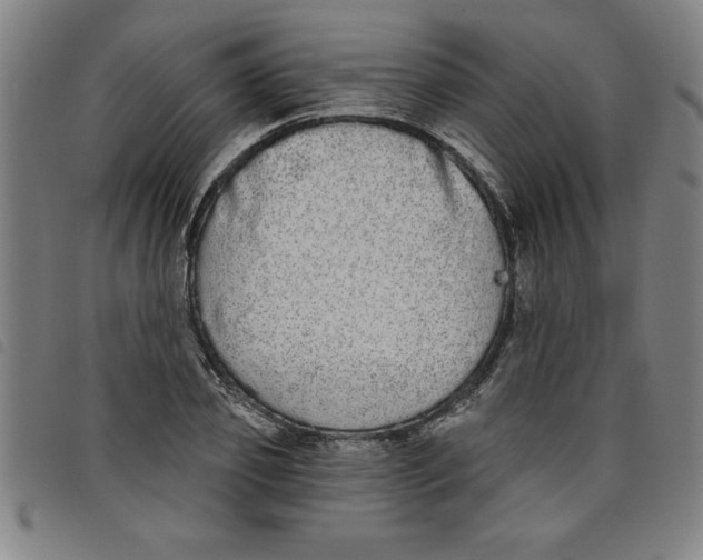 X0000097870933200804041547
