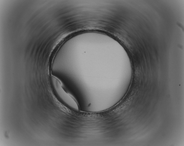 X0000097870934200804041547