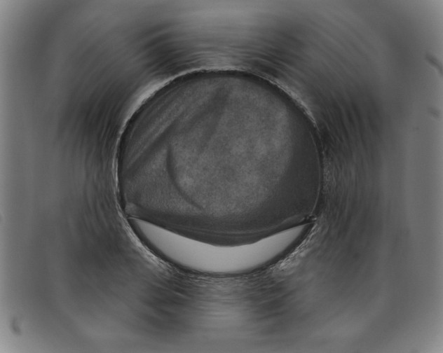 X0000097870935200804041547