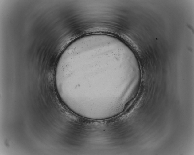 X0000097870937200804041548