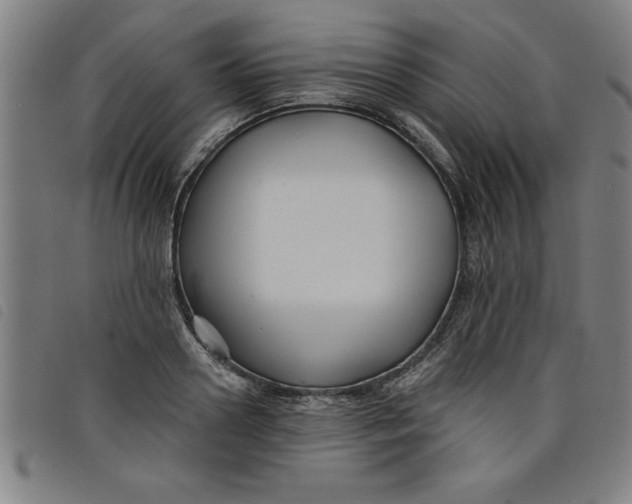 X0000097870938200804041548