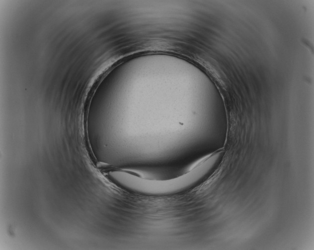 X0000097870939200804041548